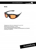 Brille - Windschutz