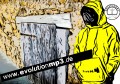 Poster 2 evolutionmp3